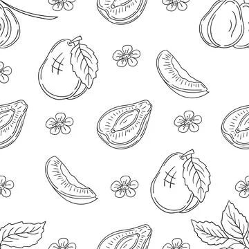 Pattern for textile or kitchen in hand draw style. Monochrome pattern Stock Illustration