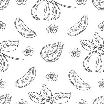 Pattern for textile or kitchen in hand draw style. Monochrome pattern Stock Illustration