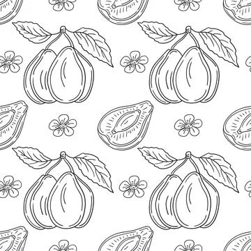 Pattern for textile or kitchen in hand draw style. Monochrome pattern Stock Illustration