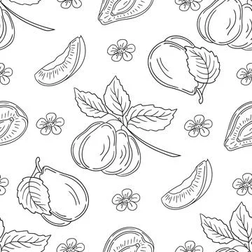 Pattern for textile or kitchen in hand draw style. Monochrome pattern Stock Illustration