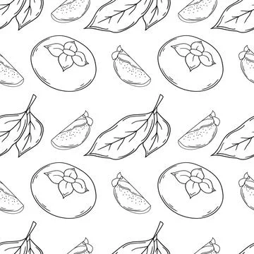 Pattern for textile or kitchen in hand draw style. Monochrome pattern Illustrazione stock
