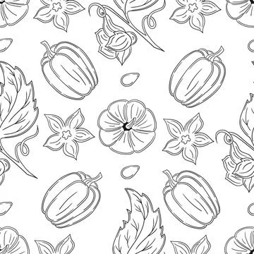 Pattern for textile or kitchen in hand draw style. Monochrome pattern Stock Illustration