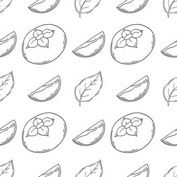 Pattern for textile or kitchen in hand draw style. Monochrome pattern Stock Illustration