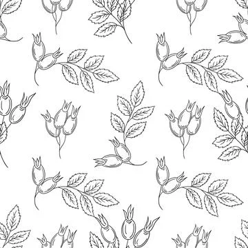 Pattern for textile or kitchen in hand draw style. Monochrome pattern Stock Illustration