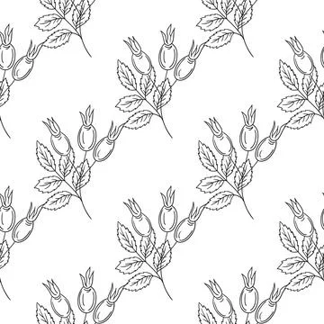 Pattern for textile or kitchen in hand draw style. Monochrome pattern 스톡 일러스트