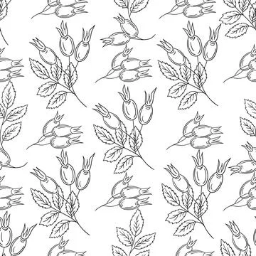 Pattern for textile or kitchen in hand draw style. Monochrome pattern 스톡 일러스트
