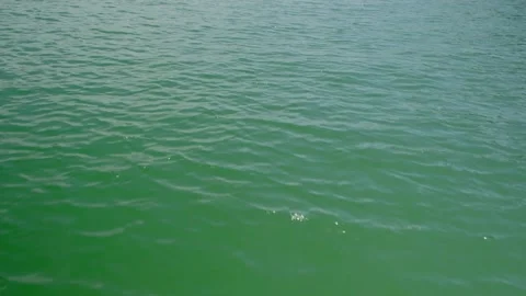 Pattern texture background of blue water waves in the sea. Stock Footage 156889572