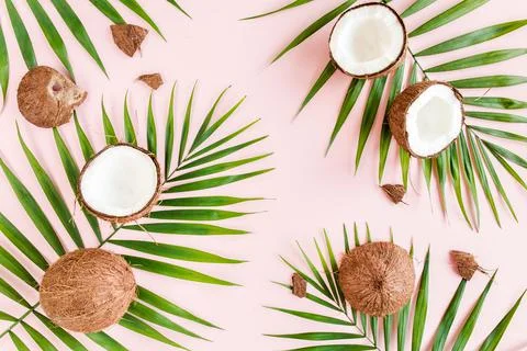 Pattern, texture with coconuts and tropical palm leaves on pink background Stock Photos