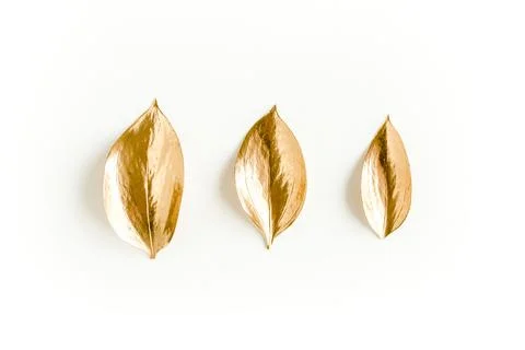 Pattern, texture with gold leaves isolated on white background. flat lay, top Stock Photos
