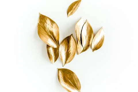 Pattern, texture with gold leaves isolated on white background. flat lay, top Stock Photos