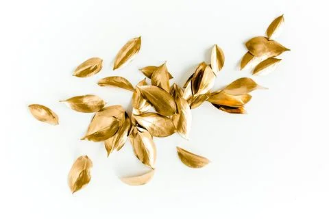 Pattern, texture with gold leaves isolated on white background. flat lay, top Foto stock