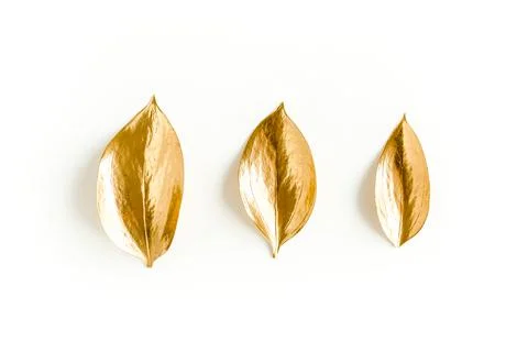 Pattern, texture with gold leaves isolated on white background. flat lay, top Stock Photos