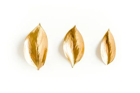 Pattern, texture with gold leaves isolated on white background. flat lay, top Foto stock