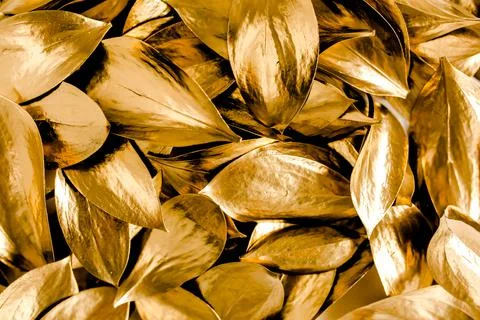 Pattern, texture with gold leaves isolated on white background. flat lay, top Foto stock