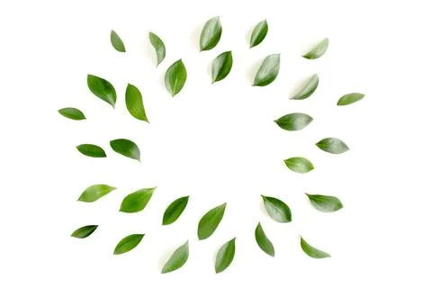Pattern, texture with green leaves isolated on white background. lay flat, top 스톡 사진