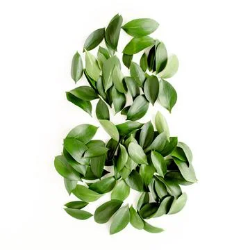 Pattern, texture with green leaves isolated on white background. lay flat, top Foto stock
