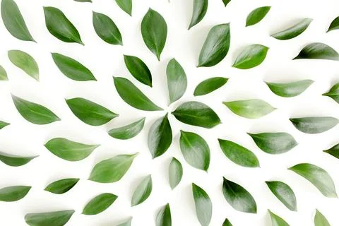Pattern, texture with green leaves isolated on white background. lay flat, top Foto stock