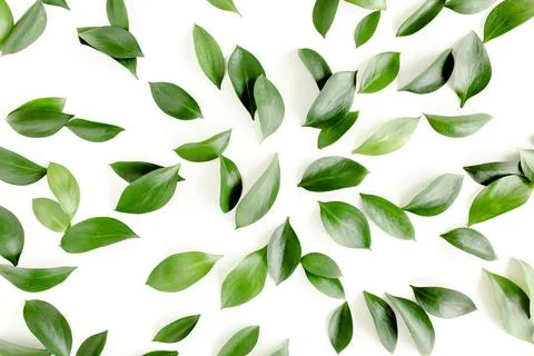 Pattern, texture with green leaves isolated on white background. lay flat, top Foto stock