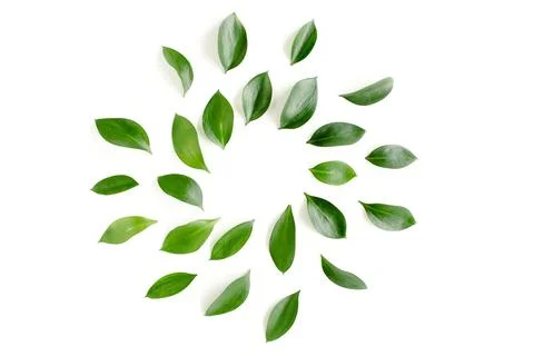 Pattern, texture with green leaves isolated on white background. lay flat, top Foto stock