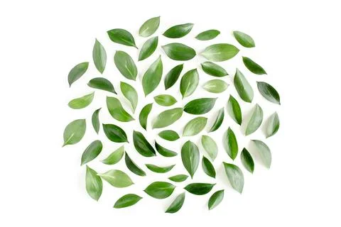 Pattern, texture with green leaves isolated on white background. lay flat, top Foto stock