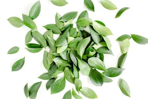Pattern, texture with green leaves isolated on white background. lay flat, top Foto stock