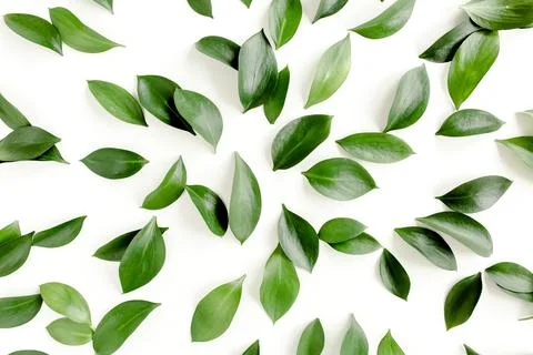 Pattern, texture with green leaves isolated on white background. lay flat, top Foto stock