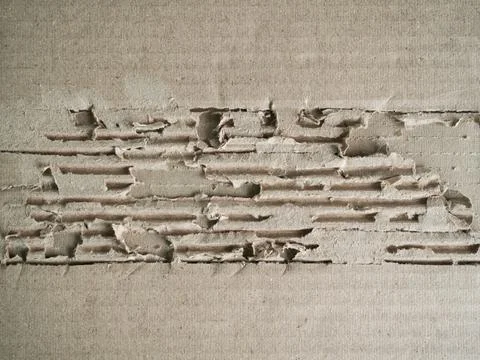 Pattern Texture Paper Document Background,Lacerate Design Vintage Free Spac.. 스톡 사진