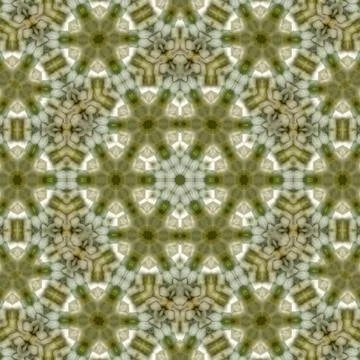 Pattern texture for print on cloth, cover photo, website, mandala decoration Illustrazione stock
