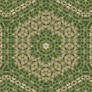 Pattern texture for print on cloth, cover photo, website, mandala decoration 스톡 일러스트