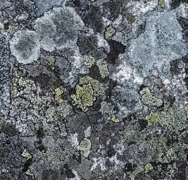 Pattern texture of rough grey stone surface Pattern texture of rough grey ... Stock-Fotos