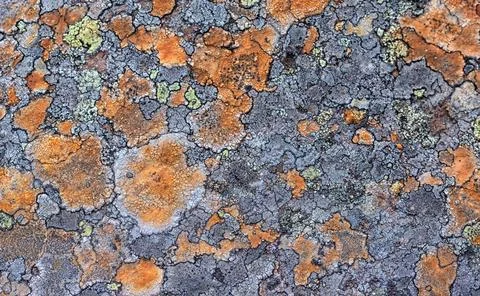 Pattern texture of rough grey stone surface Pattern texture of rough grey ... Stock-Fotos