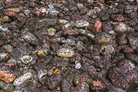 Pattern texture of round moss stones Foto stock