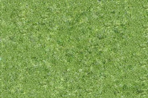 Pattern texture of sliced green fresh cucumber Photos