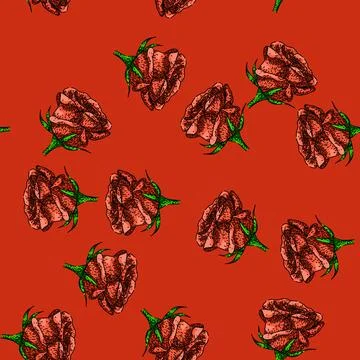 Pattern thorns rose flower sketch hand drawn Stock Illustration