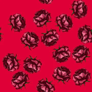 Pattern thorns rose sketch hand drawn Ilustración de archivo