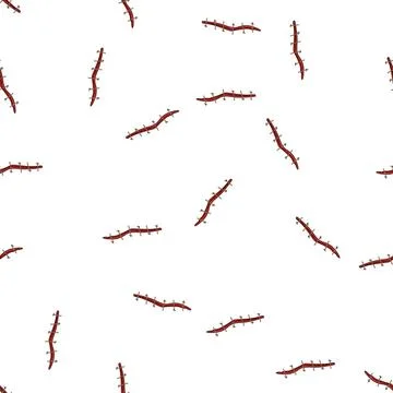 Pattern thread suture cartoon vector Stock Illustration