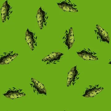 Pattern thyme savory sketch hand drawn Stock Illustration