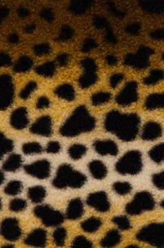 Pattern of a tiger skin Stock Photos