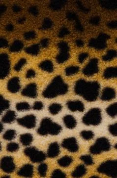 Pattern of a tiger skin Stock Photos
