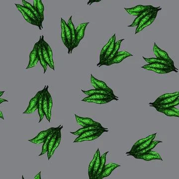Pattern tobacco leaf green sketch hand drawn イラスト素材