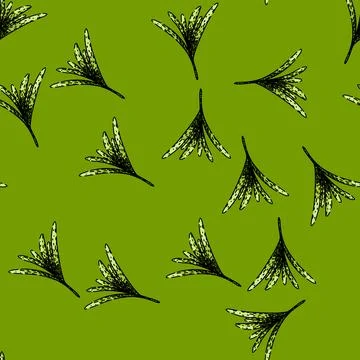 Pattern top rosemary sketch hand drawn Stock Illustration