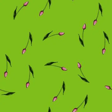 Pattern top tulip sketch hand drawn 스톡 일러스트