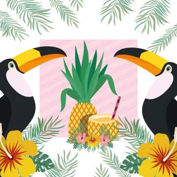 Pattern of toucan and summer flower Stock-Illustration
