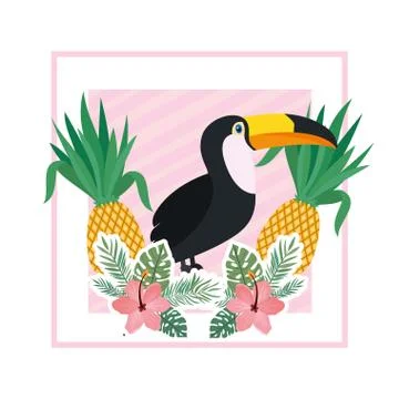 Pattern of toucan and summer flower Stock-Illustration