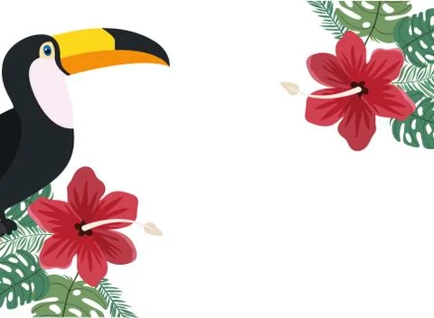Pattern of toucan and summer flower Stock Illustration