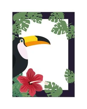 Pattern of toucan and summer flower Stock-Illustration