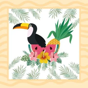 Pattern of toucan and summer flower 스톡 일러스트