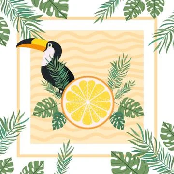 Pattern of toucan and summer flower 스톡 일러스트