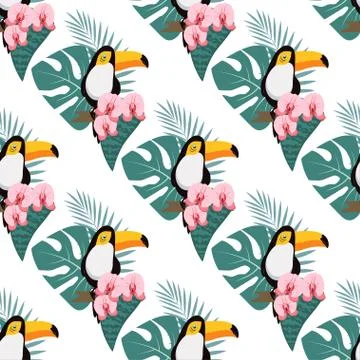 Pattern with toukan and orchid Stock Illustration