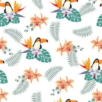 Pattern with toukan and orchid Stock Illustration